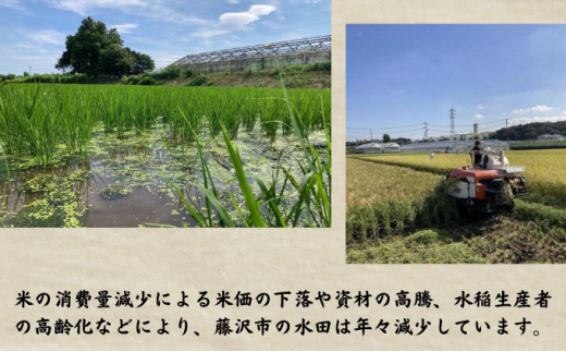 【藤沢産のお米で造った純米酒】藤田熊醸 720ml 3本 日本酒 お酒