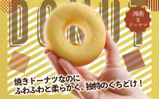 年内発送 !  (12/21決済完了分まで) ドーナツ 生 どーなつ Donut プレーン 24個入り 湘南藤沢名物 松月堂わびすけ