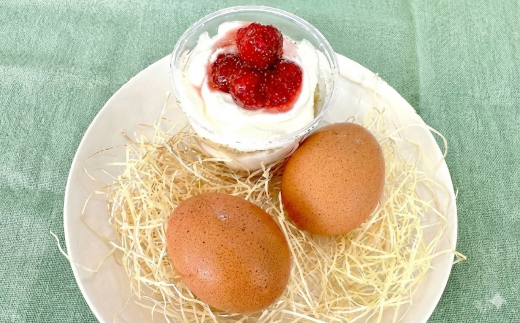 9種のカップ de ケーキアソート 15個入り お任せ カップケーキ ケーキ かっぷけーき こめ油 ふんわり しっとり シフォンケーキ シフォン ke-ki cake しふぉん きび砂糖 国産 小麦 バニラ いちご 抹茶 チョコ モンブラン ココア パン遊房 亀吉 神奈川 湘南 藤沢