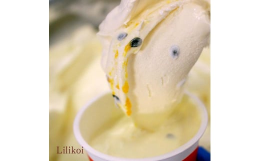 Hilo Homemade Ice Cream プレミアムアイスクリーム 130ml×6個 セット 神奈川 湘南 藤沢