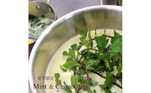 Hilo Homemade Ice Cream プレミアムアイスクリーム 130ml×12個 セット 神奈川 湘南 藤沢