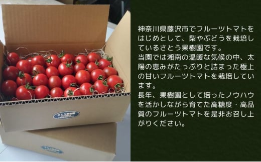 トマト フルーツトマト 6kg～9kg 5箱 フルティカ 藤沢市 野菜 とまと ミニトマト ハウス栽培