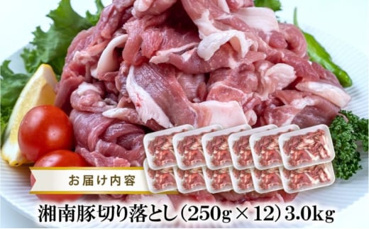 湘南豚　切り落し　3.0kg　 【神奈川県産豚】 豚肉 切り落とし 国産 肉 ポーク 小分け 250g 冷凍 生姜焼き 野菜炒め 豚汁 豚丼 人気 おすすめ 藤沢市