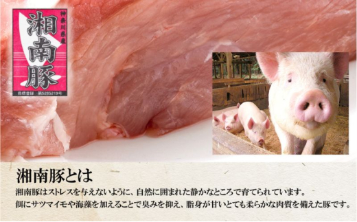 湘南豚　ロース・バラしゃぶしゃぶセット　 【神奈川県産豚】 豚肉 ロース 薄切り バラ しゃぶしゃぶ 国産 肉 ポーク 冷凍　人気 おすすめ 藤沢市