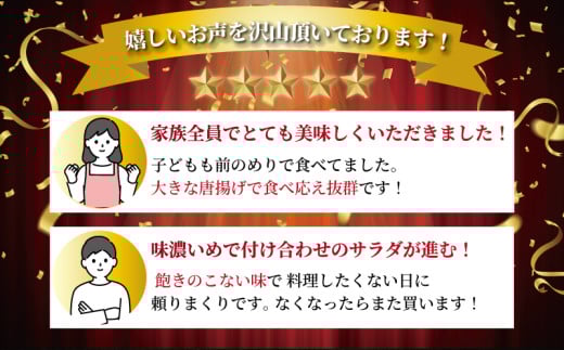 訳あり 唐揚げ 2kg (1個 約50g ) 最大40個 加納食堂 神奈川 湘南 藤沢