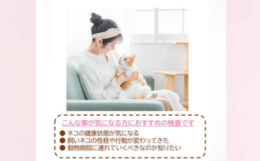 獣医師監修 ネコ体毛ホルモン量測定キット～サイロキシン～　高齢ネコ（7歳以上）の甲状腺機能チェック 株式会社あすか製薬メディカル 神奈川 湘南 藤沢