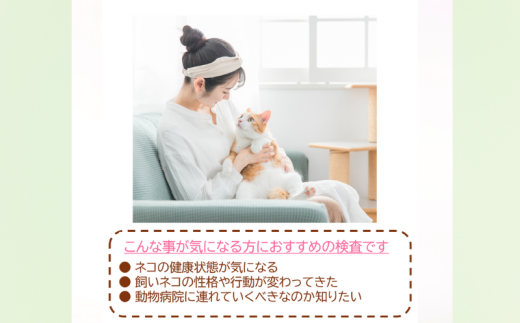 獣医師監修 ネコ体毛ホルモン量測定キット ～コルチゾール～ ネコの慢性ストレスチェック 株式会社あすか製薬メディカル 神奈川 湘南 藤沢