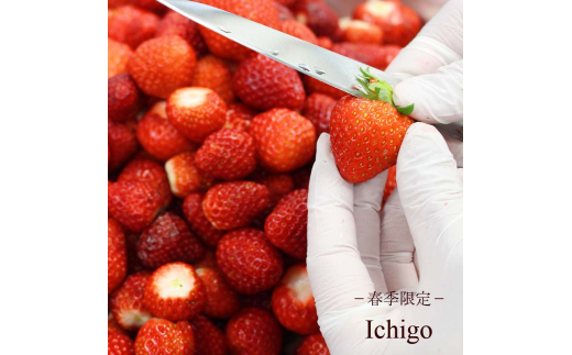 季節おすすめアイスクリーム 130ml×6個 セット Hilo Homemade Ice Cream 神奈川 湘南 藤沢