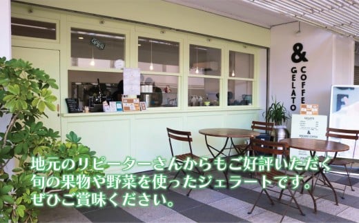 ジェラート 12個 4種類 セット 季節 おまかせ アイス 手作り アイスクリーム あいす じぇらーと スイーツ デザート ブルーベリー プラム 桃 もも いちじく イチジク とうもろこし 梨 さつまいも 葡萄 ぶどう 栗 レモン 詰め合わせ プレゼント 株式会社ジェラートファクトリー 湘南 藤沢