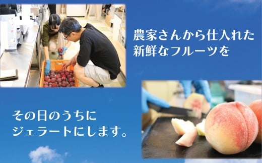 ジェラート 2L 500ml ✕ 4種類 セット 大容量 アイス 卵不使用 おまかせ 詰め合わせ 手作り アイスクリーム あいす じぇらーと スイーツ デザート 果物 野菜 旬 フルーツ プレゼント ギフト 贈答 贈り物 食育 おいしい 人気 安心 こだわり ジェラートファクトリー 神奈川 湘南 藤沢