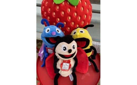 いちご狩り 1名様分 30分 体験チケット 10種類 食べ比べ 関東 予約 最新鋭 いちご 苺 ストロベリー ブランドいちご 採れたて 特別栽培 果物 入園券 券 カップル 夫婦 友人 友達 子連れ 休日 フルーツ フルーツ狩り 果物狩り アクセス お出かけ 思い出 観光 リッチフィールド株式会社 湘南 藤沢 神奈川