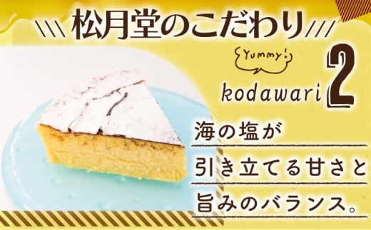 年内発送 !  (12/21決済完了分まで) チーズケーキ 海の塩 ちーずけーき 1ホール