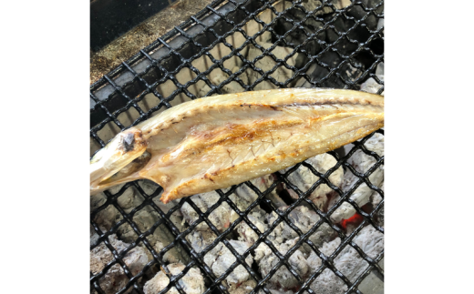 干物 焼いてある ひものセット 【炭火焼き】 5種  あじ かます さば いわし 金目鯛