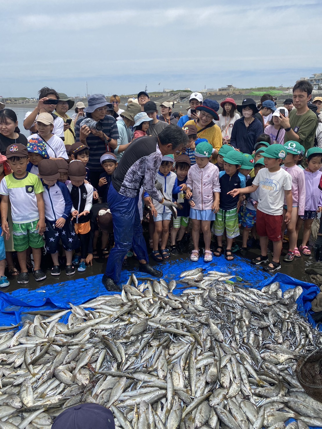 地引き網体験 ファミリーパック 大人2名 子ども1名～ 地引網 江の島 江ノ島 観光