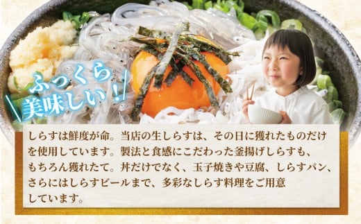 食事券 しらす問屋とびっちょ お食事券 1名様分 江の島