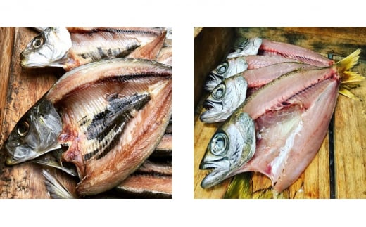 干物 旬の魚 3～4種  国産 ひもの セット 