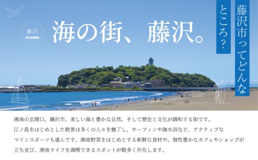 【+HOCL 微酸性電解水（10L バッグ イン ボックス）】次亜塩素酸水 次亜塩素酸 電解水 感染対策 ウィルス 除菌 消臭 お掃除 清掃 ふき取り ペット消臭 トイレ掃除 におい対策 除菌剤 掃除 おそうじ 消毒 清掃用品 非常時 防災グッズ 衛生用品 防災用品 長期保存 微酸研 神奈川 湘南 藤沢