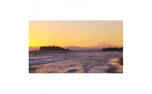 《お洒落なブランド自転車》レンタサイクル1日乗り放題（2台迄）