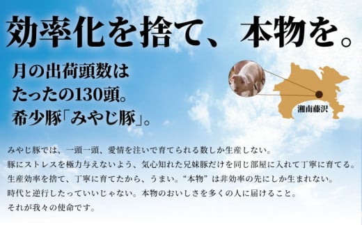 みやじ豚しゃぶしゃぶ セット バラ モモ 計900g 国産 ぶたにく 冷蔵 神奈川 湘南 藤沢
