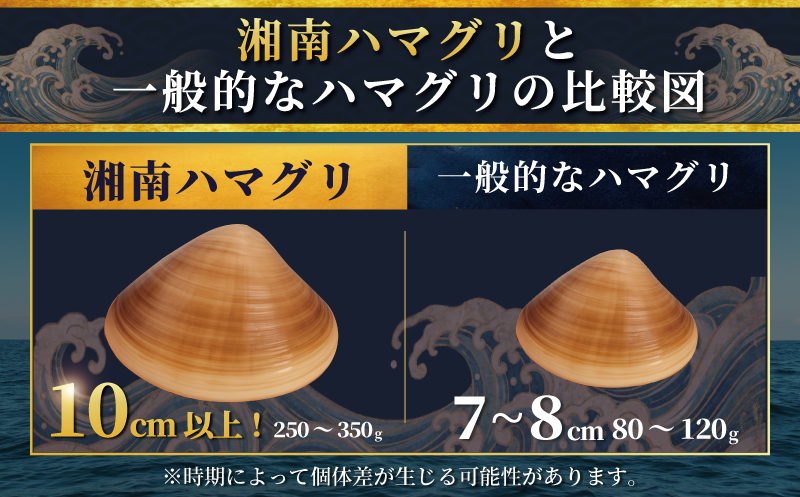 【3月発送】 はまぐり 蛤 大粒 約 1.4kg 砂抜き 済み  LLサイズ ハマグリ 湘南はまぐり 冷凍 魚介 魚貝 冷凍 海鮮 水産加工品 水産品 海産物 魚 貝 だし ダシ 出汁 味噌汁 酒蒸し グラタン お吸い物 網焼き バーベキュー BBQ 貝 kai hamaguri  江の島 江ノ島 神奈川 湘南 藤沢