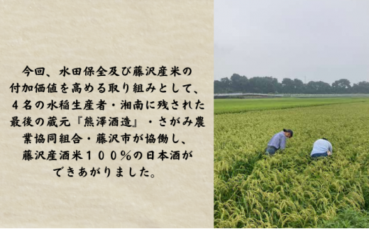 【藤沢産のお米で造った純米酒】藤田熊醸 720ml 3本 日本酒 お酒