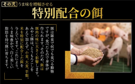 しその香り漂う肉汁たっぷり しそ餃子 20個 冷凍餃子 みやじ豚 ブランド豚 100% 餃子 ぎょうざ ギョウザ ギョーザ ぎょーざ 焼き餃子 豚肉 おつまみ gyouza 水餃子 中華料理 国産 中華 お取り寄せ ギフト 化粧箱入 贈り物 贈答 お土産 冷凍 加工 食品 神奈川 湘南 藤沢