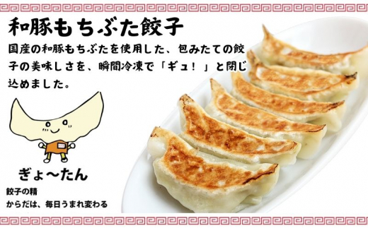 餃子 古久家 和豚もちぶた餃子(200個)セット＋ザーサイ１袋付 冷凍 焼き餃子 おかず おつまみ 総菜 お取り寄せ ぎょうざ ギョーザ 神奈川 藤沢