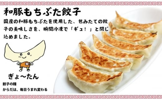 古久家 和豚 もちぶた 餃子 ( 60個 ) と 海老 たっぷり 餃子 ( 10個 )  餃子 絶品 春巻き ( ５本 ) セット 冷凍 焼き餃子 おかず おつまみ 総菜 お取り寄せ ぎょうざ ギョーザ えび エビ 神奈川 藤沢