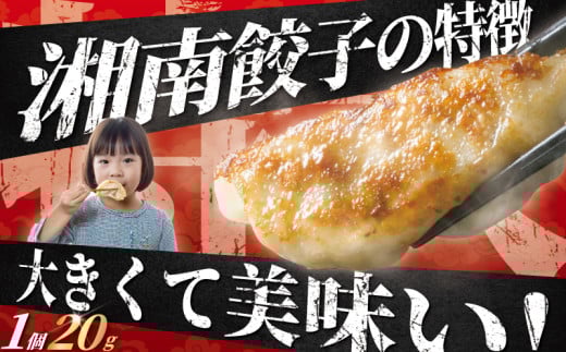 餃子 ぎょうざ 168個 (42個 × 4 パック) 国産 ブランド豚 gyouza ギョーザ