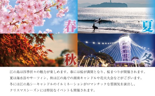 オーガニックグリル鵠沼海岸 食事券 1名様分【ランチ】プリフィックスコース レストラン コース ランチ フレンチ サラダ スープ 肉料理 魚料理 パン coffee 珈琲 コーヒー 紅茶 オードブル チケットランチ券 券 利用券 ギフト プレゼント 昼ご飯 ごはん 江の島 江ノ島 神奈川 湘南 藤沢