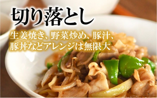 湘南豚　切り落し　1.5kg　【神奈川県産豚】 豚肉 切り落とし 国産 肉 ポーク 小分け 250g 冷凍 生姜焼き 野菜炒め 豚汁 豚丼 人気 おすすめ 藤沢市