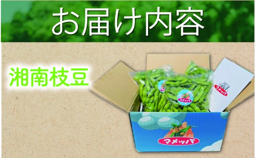 えだまめ 1.8kg  小分け 枝豆 小分け 朝採り とれたて 湘南産 先行予約 2026年7月発送 新鮮 豆 まめ edamame mame マメ えだ豆 エダマメ 個包装 便利 甘い 濃厚 旬 野菜 お酒 やさい 夏野菜 冷蔵 まめっぱ農園 神奈川 湘南 藤沢