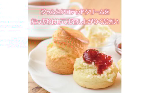 年内発送 ! (12/21 決済完了分まで)  スコーン 6種 × 2個 12個 セット お菓子 スイーツ すこーん scone 