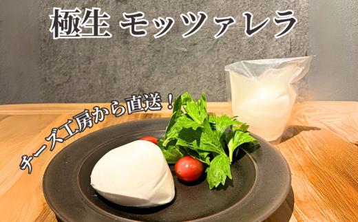 年内発送 ！ ( 12/23決済完了分まで) チーズ ブラウンチーズ チーズ セット 4種 ブラウンチーズ入 モッツァレラチーズ ブラウンチーズペースト チギチー さけるチーズ 極生 モッツァレラ ちーず ナチュラルチーズ 人気 おっぱいの恵み ビール おつまみ cheese Aprotodo’S株式会社 RRAAP BREWERY 神奈川 湘南 藤沢