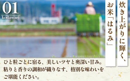 新米 先行予約 特Aランク 米 はるみ 5kg 令和8年 10月以降 順次発送 こめ 令和8年度産 甘い ツヤ キヌヒカリ コシヒカリ こしひかり しんまい kome ※ お米 白米 ご飯 ごはん 弁当 お弁当 おにぎり はくまい 精米 ブランド米 農家直送 数量限定 産地直送 藤沢洋蘭 神奈川 湘南 藤沢