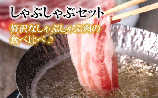 【3ヵ月定期便】湘南豚 ロース・バラしゃぶしゃぶ セット 1kg 3か月 定期便 豚肉 ロース 薄切り バラ しゃぶしゃぶ  冷凍 豚 ぶたにく ぶた肉 Pork 豚肉 ブランド豚 国産 国産豚 神奈川県産 肉 ポーク 炒め物  人気 おすすめ 株式会社羽根 藤沢市 神奈川 湘南 藤沢