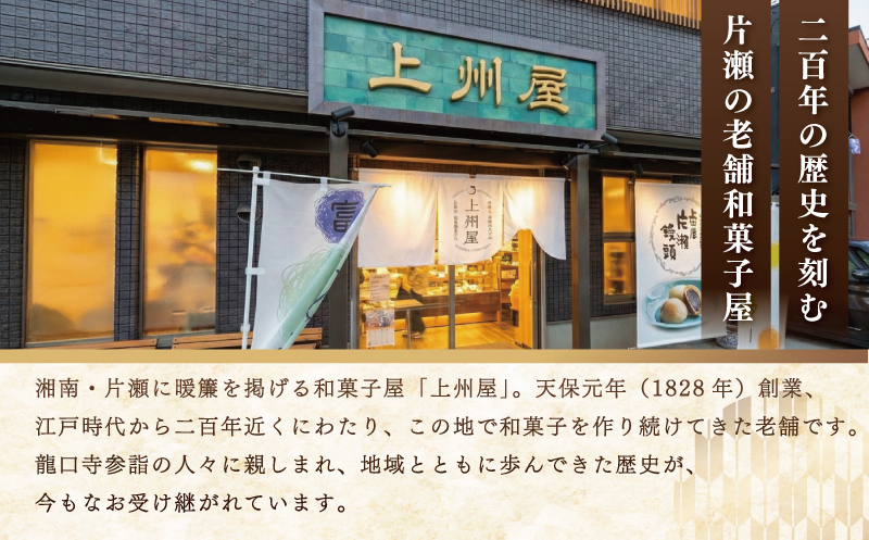 和菓子 詰め合わせ もなか 8個入 最中 モナカ monaka 美味しい 富士山 と 江ノ島もなか 自家製 あんこ 餡 小倉あん 白あん お茶菓子 お菓子 お土産 プレゼント 贈答 手土産 ワガシ wagasi 和スイーツ スイーツ 自家製 餡 人気 名店 江ノ島 江の島 土産 片瀬 天保元年創業 上州屋 神奈川 湘南 藤沢