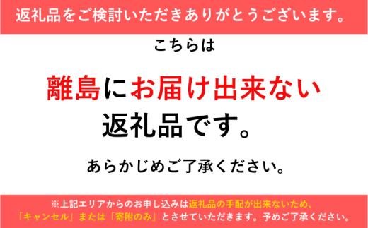 パイゼル サーフボード オーダーチケット 30,000円分 サーフィン 海 波 マリンスポーツ 波乗り オーダー チケット Ticket 江の島 江ノ島 PYZEL SURFBOARDS JAPAN 株式会社 神奈川 湘南 藤沢