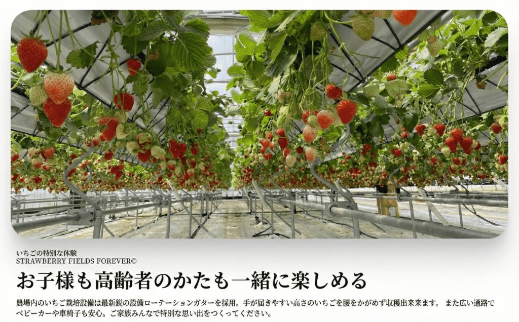 いちご狩り 1名様分 45分 体験チケット 10種類 食べ比べ 関東 予約 最新鋭 いちご 苺 ストロベリー ブランドいちご 採れたて 特別栽培 果物 入園券 券 カップル 夫婦 友人 友達 子連れ 休日 フルーツ フルーツ狩り 果物狩り アクセス お出かけ 思い出 観光 リッチフィールド株式会社 湘南 藤沢 神奈川