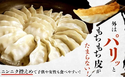 餃子 ぎょうざ 192個 (48個 × 4 パック) 肉汁たっぷり 大きい 国産 ブランド豚 ルイビ豚