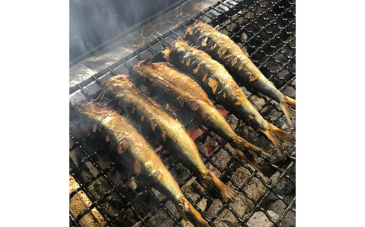 干物 焼いてある ひものセット 【炭火焼き】 5種  あじ かます さば いわし 金目鯛