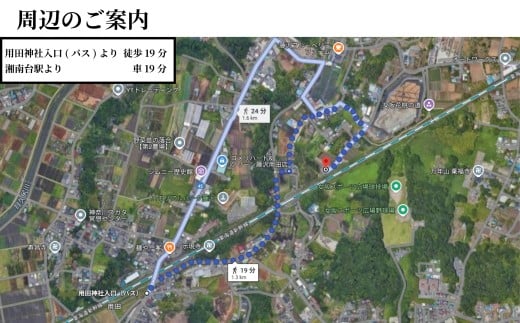 選べる 収穫体験 さつまいも 菊芋 1 ～ 3名 体験 芋掘り サツマイモ お土産 3kg お持ち帰り チケット 券 観光 レジャー 行楽シーズン 甘い スイーツ 秋の味覚 旬 やさい 野菜 アウトドア 自然 食育 子供 お子様 ファミリー カップル 親子 友達 素材 ブタイモ カライモ 農園 観光 神奈川 湘南 藤沢
