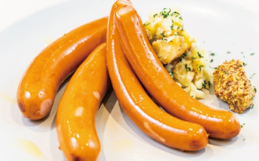 ウインナー ソーセージ 4点 セット 国産肉 ういんなー  