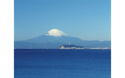 野菜 セット 旬 の 湘南野菜 おまかせ セット 10 ～ 15品 お任せ 詰め合わせ 野菜セット やさい やさいセット yasai きゅうり トマト なす ねぎ さといも 小松菜 白菜 玉ねぎ とまと キュウリ ヤサイ yasai 旬の野菜セット 新鮮 数量限定 神奈川 湘南 藤沢