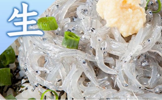 生しらす 釜揚げ たっぷりセット とびっちょ 江の島