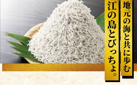 しらす問屋とびっちょ ペアお食事券（2名様1組分）江の島