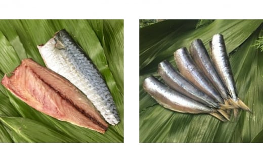 干物 旬の魚 3～4種  国産 ひもの セット 