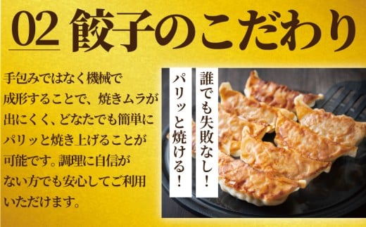 ぎょうざ 餃子 50個 肉汁 旨い パック 豚肉 ぶた 野菜 焼き餃子 水餃子  国産豚  豚肉 野菜 ギョーザ gyouza 冷凍餃子 冷凍ぎょうざ ぶたにく 生餃子 冷凍 ご飯 おかず 夕食 おつまみ 晩酌 簡単調理 時短 簡易包装 手作り餃子 冷凍 冷凍食品 中華 加納食堂 神奈川 湘南 藤沢