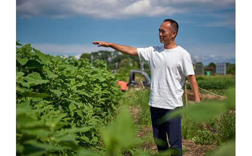 湘南ご当地青汁【湘南きくいも】きくいも青汁30包×2個、菊芋チップスのセット
