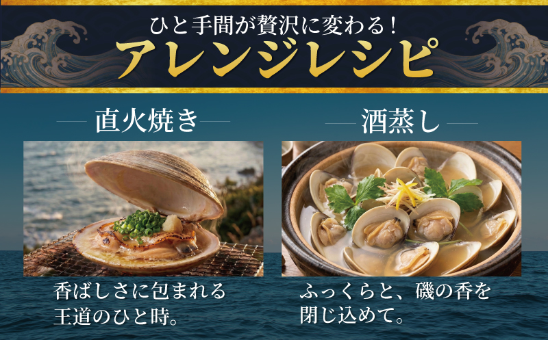 【3月発送】 はまぐり 蛤 大粒 約 1.4kg 砂抜き 済み  LLサイズ ハマグリ 湘南はまぐり 冷凍 魚介 魚貝 冷凍 海鮮 水産加工品 水産品 海産物 魚 貝 だし ダシ 出汁 味噌汁 酒蒸し グラタン お吸い物 網焼き バーベキュー BBQ 貝 kai hamaguri  江の島 江ノ島 神奈川 湘南 藤沢